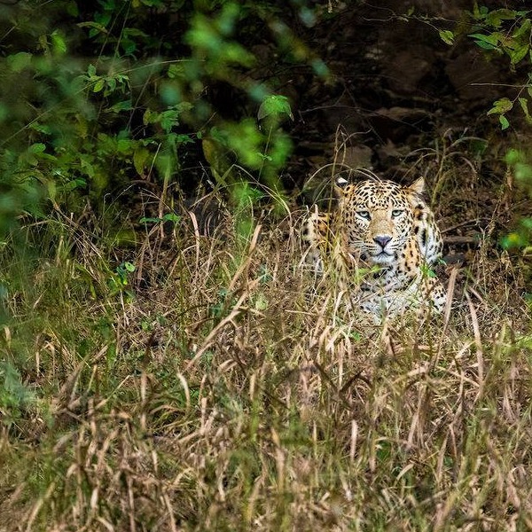 Dining at Stok Palace