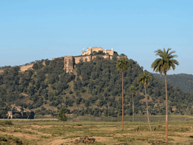 Forts near Sariska