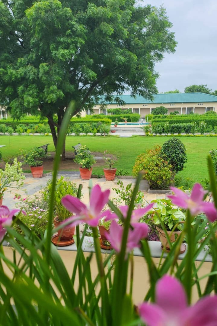 Dining at Stok Palace